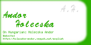 andor holecska business card